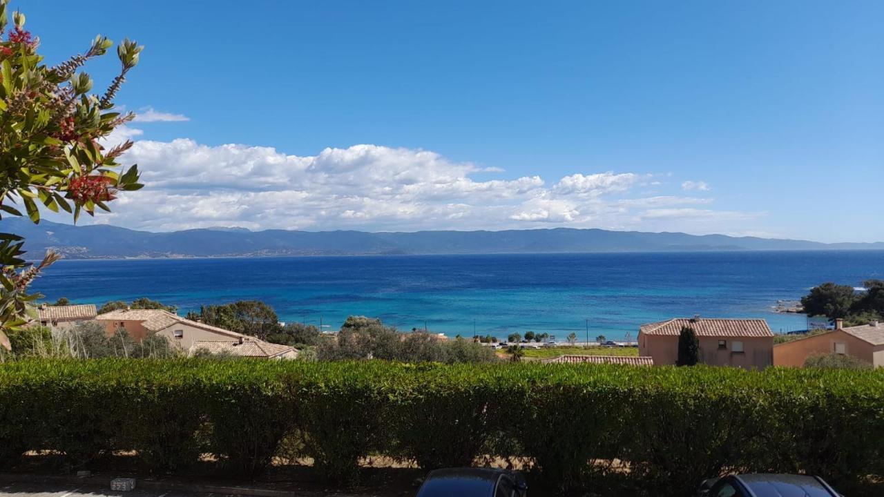 Marinella, Vue Mer Panoramique, Superbe T2 Plage A 150 M Аячо Екстериор снимка
